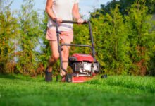 Tips for Effective Lawn Care in Charleston SC