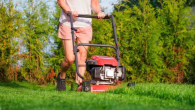 Tips for Effective Lawn Care in Charleston SC