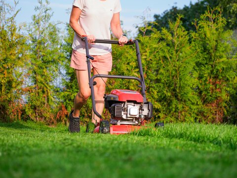 Tips for Effective Lawn Care in Charleston SC
