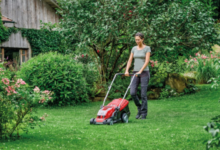 Top Tips for a Healthier Lawn All Year Round
