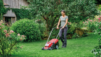 Top Tips for a Healthier Lawn All Year Round