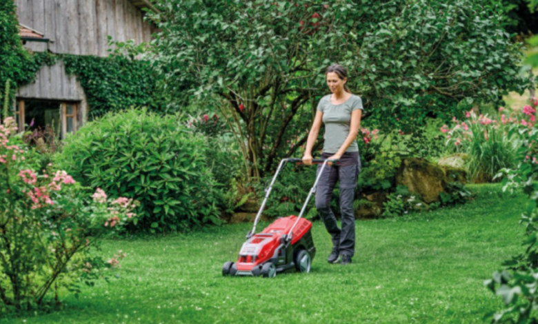 Top Tips for a Healthier Lawn All Year Round