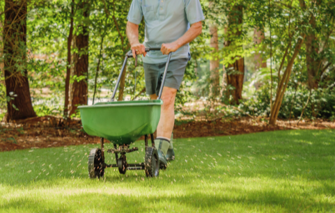Tips for Maintaining a Healthy Lawn Year-Round in Charleston