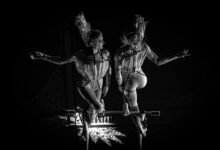 enrollment coordination for datasets