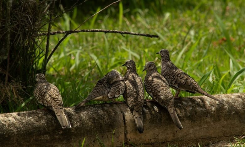 identifier governance control log