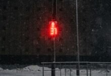 numeric signal attribution summary