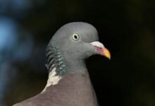 contact details overview guide