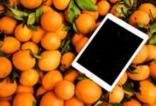 digital boost keystone horizon