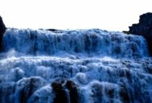 digital growth strategy initiative