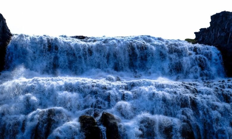 digital growth strategy initiative