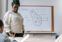 2177827962 key benefits explained