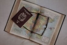 a beginner s guide to 5593355226