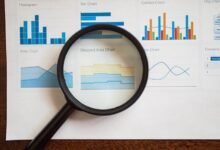 ljrcbyu guide features and insights